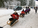 Schlittenhunderennen in Benneckenstein (Foto: Karin Lehmann, Peter Blei)