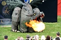 Der Drache (Foto: Manthey Event)