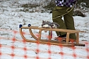 Schlittenhunderennen in Benneckenstein (Foto: Karin Lehmann) Schlittenhunderennen in Benneckenstein (Foto: Karin Lehmann)