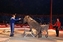 Circus Rolina gastiert in Nordhausen  (Foto: nnz-City Scout: Sven G&auml;mkow)