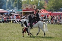Kampf der Giganten Sundhausen (Foto: nnz-City Scout: Sven G&auml;mkow)