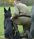 Für tauglich befunden (Foto: PD NDH) Für tauglich befunden (Foto: PD NDH)