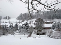Winter in Friedrichsrode (Foto: Christiane Wiesemann) Winter in Friedrichsrode (Foto: Christiane Wiesemann)
