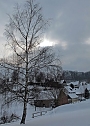 Wintergr&uuml;&szlig;e (Foto: Ch. Wiesemann)