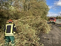B&auml;ume mussten von der Stra&szlig;e ger&auml;umt werden  (Foto: Feuerwehr Heiligenstadt)