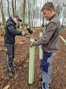 Gymnasiasten pflanzen B&auml;ume (Foto: N.B&ouml;hitz)