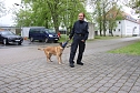 Besuch bei der Nordhäuser Hundestaffel (Foto: agl) Besuch bei der Nordhäuser Hundestaffel (Foto: agl)