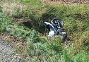 Bikerin bei Sturz schwer verletzt (Foto: S. Dietzel)