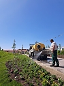 Neue Pflanzen ziehen auf dem Gelände der Landesgartenschau ein. (Foto: René Weißbach) Neue Pflanzen ziehen auf dem Gelände der Landesgartenschau ein. (Foto: René Weißbach)