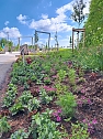 Vorbereitungen für den Sommerflor auf der Landesgartenschau (Foto: Stadt Leinefelde-Worbis) Vorbereitungen für den Sommerflor auf der Landesgartenschau (Foto: Stadt Leinefelde-Worbis)