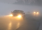 Wildunf&auml;lle reduzieren (Foto: ADAC/DJV)