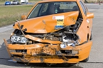 Wildunf&auml;lle reduzieren (Foto: ADAC/DJV)