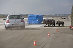 Wildunf&auml;lle reduzieren (Foto: ADAC/DJV)