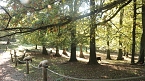 Goldener Herbst im B&auml;renpark Worbis (Foto: Angelo Glashagel)