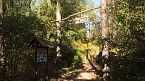 Goldener Herbst im B&auml;renpark Worbis (Foto: Angelo Glashagel)