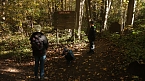 Goldener Herbst im B&auml;renpark Worbis (Foto: Angelo Glashagel)