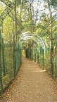 Goldener Herbst im B&auml;renpark Worbis (Foto: Angelo Glashagel)