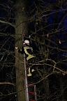 Gleitschirmflieger auf Baum (Foto: Silvio Dietzel)
