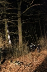Gleitschirmflieger auf Baum (Foto: Silvio Dietzel)