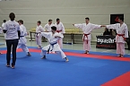 Titel und Medaillen beim Karate (Foto: Karl-Heinz Herrmann)
