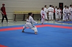 Titel und Medaillen beim Karate (Foto: Karl-Heinz Herrmann)