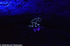 In einem ganz besonderen Licht (Foto: Gernot Thelemann) In einem ganz besonderen Licht (Foto: Gernot Thelemann)