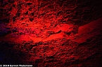 In einem ganz besonderen Licht (Foto: Gernot Thelemann) In einem ganz besonderen Licht (Foto: Gernot Thelemann)