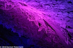 In einem ganz besonderen Licht (Foto: Gernot Thelemann) In einem ganz besonderen Licht (Foto: Gernot Thelemann)