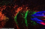 In einem ganz besonderen Licht (Foto: Gernot Thelemann) In einem ganz besonderen Licht (Foto: Gernot Thelemann)