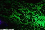In einem ganz besonderen Licht (Foto: Gernot Thelemann) In einem ganz besonderen Licht (Foto: Gernot Thelemann)
