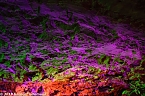 In einem ganz besonderen Licht (Foto: Gernot Thelemann) In einem ganz besonderen Licht (Foto: Gernot Thelemann)