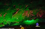 In einem ganz besonderen Licht (Foto: Gernot Thelemann) In einem ganz besonderen Licht (Foto: Gernot Thelemann)