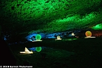 In einem ganz besonderen Licht (Foto: Gernot Thelemann) In einem ganz besonderen Licht (Foto: Gernot Thelemann)