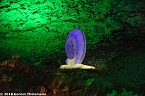 In einem ganz besonderen Licht (Foto: Gernot Thelemann) In einem ganz besonderen Licht (Foto: Gernot Thelemann)