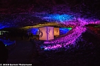 In einem ganz besonderen Licht (Foto: Gernot Thelemann) In einem ganz besonderen Licht (Foto: Gernot Thelemann)