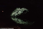 In einem ganz besonderen Licht (Foto: Gernot Thelemann) In einem ganz besonderen Licht (Foto: Gernot Thelemann)