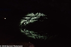In einem ganz besonderen Licht (Foto: Gernot Thelemann) In einem ganz besonderen Licht (Foto: Gernot Thelemann)