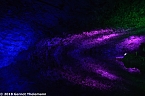 In einem ganz besonderen Licht (Foto: Gernot Thelemann) In einem ganz besonderen Licht (Foto: Gernot Thelemann)
