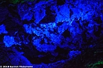 In einem ganz besonderen Licht (Foto: Gernot Thelemann) In einem ganz besonderen Licht (Foto: Gernot Thelemann)