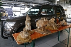 Neues Autohaus eröffnet (Foto: Autohaus Peter) Neues Autohaus eröffnet (Foto: Autohaus Peter)