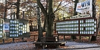 Tagesausflug zum Hexentanzplatz  (Foto: T.Leipold)
