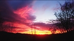 Sonnenaufgang bei Neustadt (Foto: C.Burkert)
