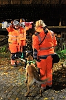 Suche war erfolgreich (Foto: S. Dietzel) Suche war erfolgreich (Foto: S. Dietzel)