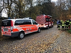 Suche war erfolgreich (Foto: S. Dietzel) Suche war erfolgreich (Foto: S. Dietzel)