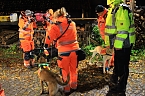 Suche war erfolgreich (Foto: S. Dietzel) Suche war erfolgreich (Foto: S. Dietzel)