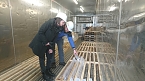 Probebohrung im Ohmgebirge (Foto: agl)