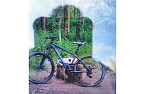 Bild des gestohlenen Bikes (Foto: Privat) Bild des gestohlenen Bikes (Foto: Privat)