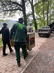 Neuank&ouml;mmling im B&auml;renpark (Foto: B&auml;renpark Worbis)
