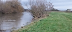 Spaziergang entlang der Unstrut aus Richtung Gorsleben in Richtung Sachsenburg (Foto: G&uuml;nter Kluge aus Sachsenburg)