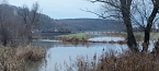 Spaziergang entlang der Unstrut aus Richtung Gorsleben in Richtung Sachsenburg (Foto: G&uuml;nter Kluge aus Sachsenburg)